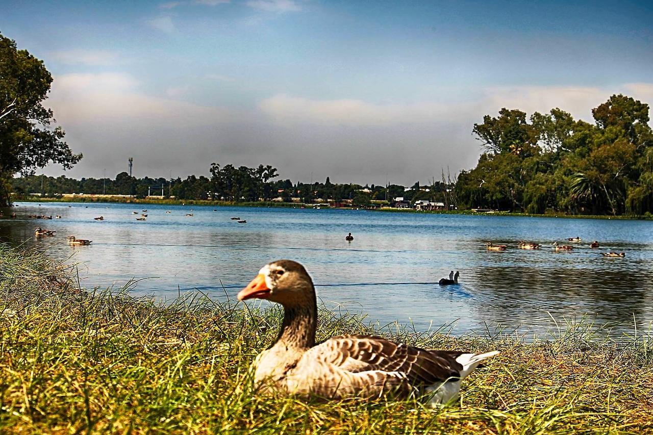 Lakeview Boutique Hotel & Conference Center Benoni Εξωτερικό φωτογραφία